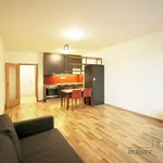 Rent 1 bedroom apartment in Praha 3