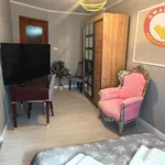 Rent 1 bedroom apartment of 42 m² in Toruń