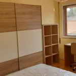 Rent 4 bedroom apartment in Coimbra