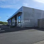 Rent 1 bedroom apartment of 370 m² in São Miguel