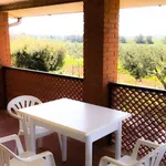 Rent 4 bedroom house of 160 m² in Capalbio