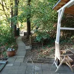 Rent 1 bedroom apartment of 25 m² in Aachen