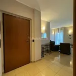 Rent 3 bedroom apartment of 80 m² in Turin