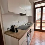 Rent 1 bedroom apartment of 45 m² in Margherita di Savoia