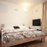 Pronajměte si 1 ložnic/e byt o rozloze 40 m² v Prague