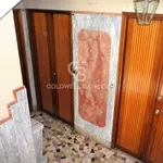 Rent 2 bedroom apartment of 55 m² in Torino