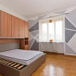 Rent 1 bedroom apartment of 20 m² in Bra