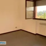 Affitto 4 camera appartamento di 150 m² in Latina