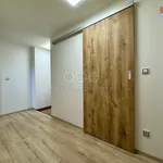 Rent 4 bedroom apartment of 90 m² in Chářovice