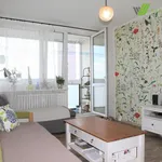 Rent 3 bedroom apartment of 63 m² in Prague