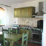 Rent 4 bedroom house of 150 m² in Arzachena