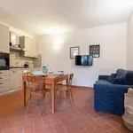 Rent 1 bedroom apartment in florence