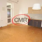 Rent 2 bedroom apartment of 57 m² in Capital City of Prague