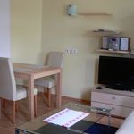 Rent 1 bedroom apartment of 47 m² in Dresden