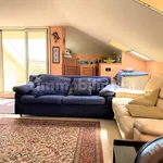 Rent 2 bedroom apartment of 65 m² in Catanzaro