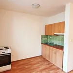 Rent 1 bedroom apartment in Frýdek - Místek