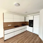 Rent 4 bedroom apartment in Líté