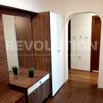 Rent 4 bedroom apartment of 85 m² in Каменица 2