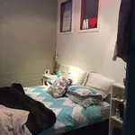 Rent 3 bedroom apartment in Dunedin