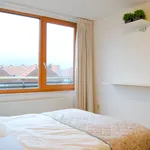 Rent 2 bedroom apartment of 105 m² in Den Haag