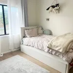 Rent 3 bedroom house of 533 m² in Auckland