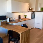 Rent 1 bedroom apartment of 70 m² in Bremen