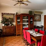 Rent 5 bedroom apartment of 150 m² in Penne