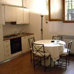 Rent 2 bedroom apartment of 50 m² in Bologna