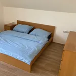 Rent 4 bedroom house in Vyškov