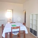 Rent 2 bedroom apartment of 45 m² in Velletri