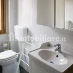 Rent 2 bedroom apartment of 50 m² in Pisa