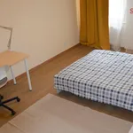 Pronajměte si 1 ložnic/e byt o rozloze 18 m² v Prague