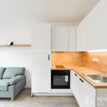 Pronajměte si 2 ložnic/e byt o rozloze 26 m² v Prague