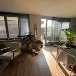 Rent 3 bedroom apartment of 126 m² in Arnhem