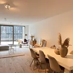 Rent 3 bedroom apartment of 108 m² in Haarlem