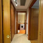 Rent 3 bedroom apartment of 80 m² in Turin