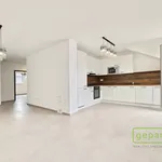 Rent 3 bedroom apartment of 70 m² in Vochov