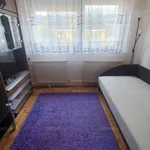 Rent 1 bedroom house of 10 m² in Debrecen