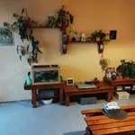 Rent 1 bedroom apartment in Tábor