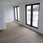 Rent 1 bedroom apartment in Ghent