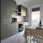 Rent 3 bedroom apartment of 95 m² in Pisa