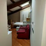 2-room flat via Vittorino da Feltre 17, Centro, Mantua