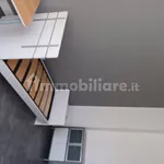 Rent 2 bedroom apartment of 40 m² in Turin