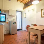 Rent 1 bedroom apartment in Florence