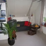 Kamer van 30 m² in Zwolle