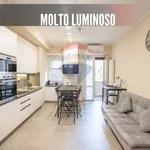 Rent 1 bedroom apartment of 17 m² in Milano