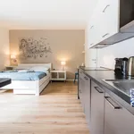 Pronajměte si 1 ložnic/e byt o rozloze 35 m² v Prague