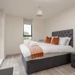 Rent 1 bedroom apartment of 41 m² in Liverpool