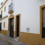 Rent 3 bedroom apartment of 150 m² in Cadiz']