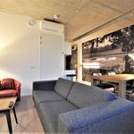 Rent 1 bedroom apartment of 50 m² in Eindhoven